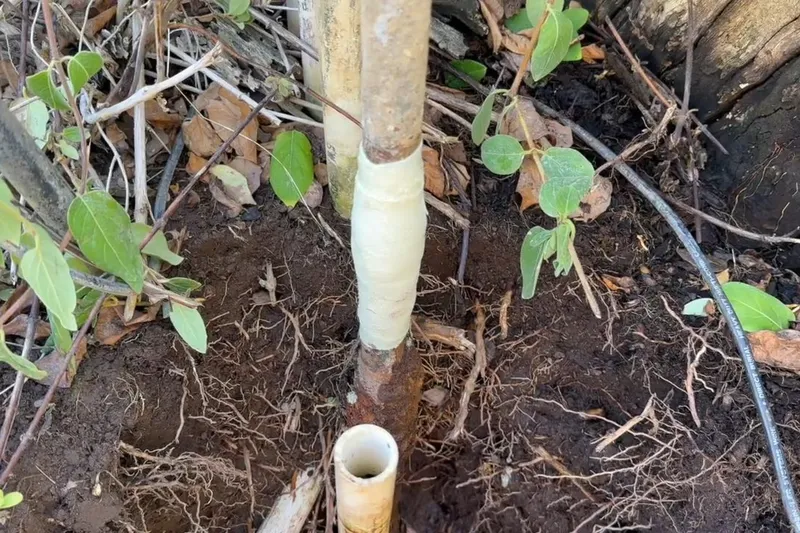 Exposed water service line with repair fittings installed for Finding the main shutoff in Prescott Valley, AZ